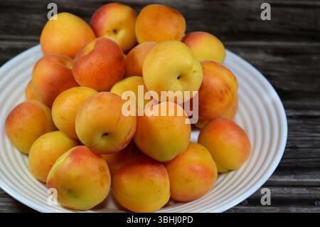 Albicocche, della specie P. armeniaca, le albicocche contengono vari fitochimici, come la provitamina A beta-carotene e i polifenoli, compreso il catec Foto Stock