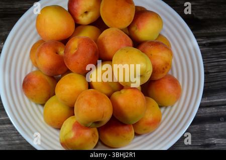 Albicocche, della specie P. armeniaca, le albicocche contengono vari fitochimici, come la provitamina A beta-carotene e i polifenoli, compreso il catec Foto Stock