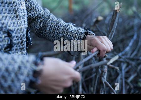 Woman osserva le diramazioni di alloro di Bay in aria aperta prima dell'elaborazione. Foto Stock