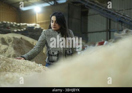 Woman osserva le diramazioni di alloro di Bay in aria aperta prima dell'elaborazione. Foto Stock