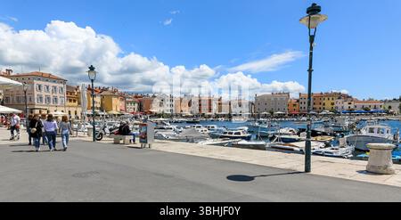 Il porto di Rovigno, Istria, Croazia, Europa Foto Stock