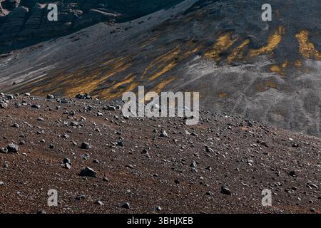 Il muschio vibrante contrasta con la distesa rocciosa di Snæfellsjökull in Islanda. La bellezza naturale mette in evidenza le caratteristiche geologiche uniche e serene Foto Stock