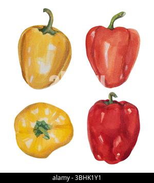 Set di verdure acquerelli con peperone giallo, arancione e rosso su sfondo bianco. Vista dall'alto della paprika al pepe isolata e disegnata a mano Foto Stock