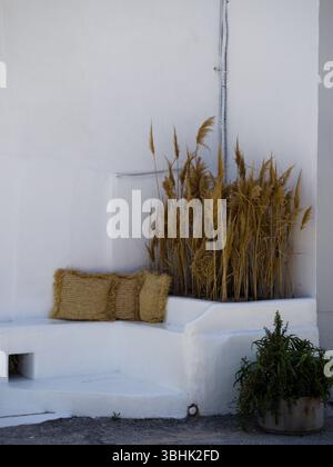 Parete bianca mediterranea con posti a sedere integrati, cuscini in paglia, una piantatrice di canne essiccate e un vaso succulento, catturati in una rustica strada greca. Foto Stock