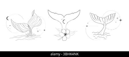 Coda di balena con schizzi d'acqua cerchi stelle e linea lunare disegnano un tatuaggio geometrico minimale. Sirena o mammifero oceanico con onde vintage. Illustrazione vettoriale Illustrazione Vettoriale