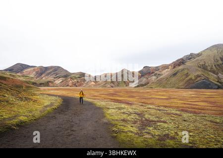 Hiker walks along a dirt path through the colorful rhyolite mountains of Landmannalaugar in Icelands Highlands, a peaceful journey into wild volcanic Foto Stock
