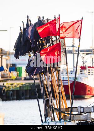 Una barca da pesca è posizionata in modo prominente in un porto svedese, con diverse bandiere che sventolano contro un cielo limpido. Il display colorato aggiunge ener Foto Stock