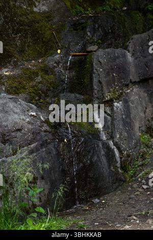 Flussi di sorgente di acqua potabile in montagna, Georgia Foto Stock