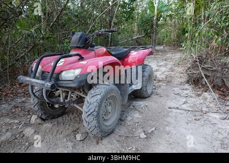 Un atv rosso a quattro ruote su un sentiero sterrato nel mezzo di una foresta circondata da alberi, tutti solitari senza persone. Foto Stock