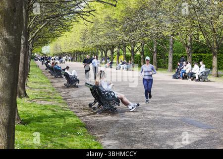 Persone che si rilassano e camminano in una Sunny Park Avenue costeggiata da alberi verdi. Londra, Regno Unito, 14 aprile 2024 Foto Stock