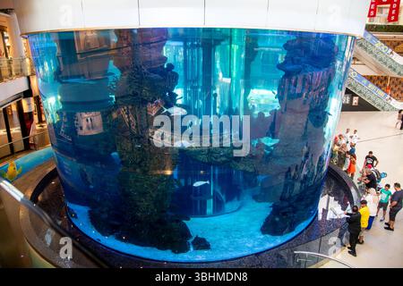 Casablanca, Casablanca-Settat - Marocco - 07-27-2024: Grande acquario nel Morocco Mall, Casablanca, che mostra varie forme di vita marina e formazioni rocciose. Foto Stock