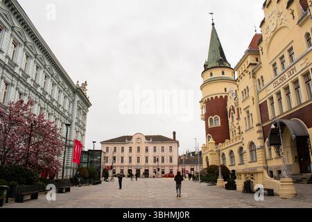 Paesaggio urbano con strada nel centro storico di Celje in Slovenia. Architettura in Slovenia. Viaggiare Foto Stock