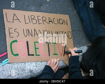 Lima, Perù. 10 giugno 2025. "La liberazione è una volontà collettiva” può essere letto su un cartone quando decine di persone hanno tenuto un sit-in per la flottiglia per la libertà e la situazione a Gaza di fronte all'ambasciata francese a Lima. La Flottiglia per la libertà del 2025 è stato un tentativo umanitario marittimo di rompere il blocco navale israeliano della Striscia di Gaza e fornire aiuti umanitari. Credito: Fotoholica Press Agency/Alamy Live News Foto Stock