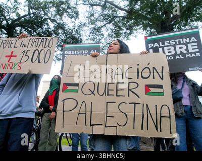 Lima, Perù. 10 giugno 2025. La "Liberazione palestinese del Queer” può essere letta su un cartone quando decine di persone hanno tenuto un sit-in per la Flottiglia per la libertà e la situazione a Gaza di fronte all'ambasciata francese a Lima. La Flottiglia per la libertà del 2025 è stato un tentativo umanitario marittimo di rompere il blocco navale israeliano della Striscia di Gaza e fornire aiuti umanitari. Credito: Fotoholica Press Agency/Alamy Live News Foto Stock
