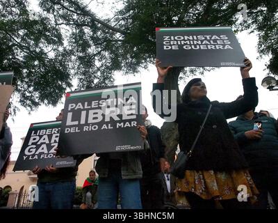Lima, Perù. 10 giugno 2025. "La Palestina libera dal fiume al mare” legge un segnale quando decine di persone hanno tenuto un sit-in per la Flottiglia della libertà e la situazione a Gaza di fronte all'ambasciata francese a Lima. La Flottiglia per la libertà del 2025 è stato un tentativo umanitario marittimo di rompere il blocco navale israeliano della Striscia di Gaza e fornire aiuti umanitari. Credito: Fotoholica Press Agency/Alamy Live News Foto Stock