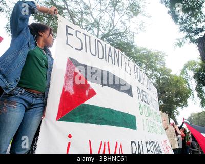 Lima, Perù. 10 giugno 2025. "Lunga vita alla Palestina libera”, legge uno striscione quando decine di persone hanno tenuto un sit-in per la Flottiglia per la libertà e la situazione a Gaza di fronte all'ambasciata francese a Lima. La Flottiglia per la libertà del 2025 è stato un tentativo umanitario marittimo di rompere il blocco navale israeliano della Striscia di Gaza e fornire aiuti umanitari. Credito: Fotoholica Press Agency/Alamy Live News Foto Stock