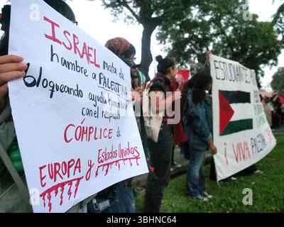 Lima, Perù. 10 giugno 2025. "Israele sta morendo di fame la Palestina con il complice sostegno dell'Europa e degli Stati Uniti”, legge uno striscione quando decine di persone hanno tenuto un sit-in per la Flottiglia della libertà e la situazione a Gaza di fronte all'ambasciata francese a Lima. La Flottiglia per la libertà del 2025 è stato un tentativo umanitario marittimo di rompere il blocco navale israeliano della Striscia di Gaza e fornire aiuti umanitari. Credito: Fotoholica Press Agency/Alamy Live News Foto Stock
