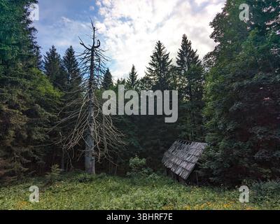 Valle del Logar in Slovenia con montagne panoramiche, rifugi locali in legno e tradizionali fattorie alpine. Foto Stock