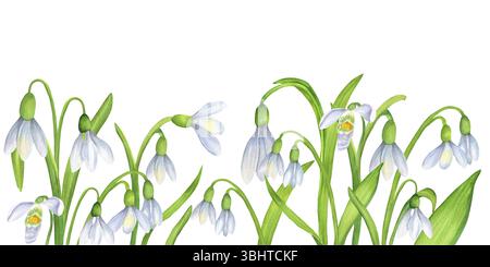 Bordo floreale senza cuciture con fiori di gocce di neve bianche. Bordo decorativo primaverile. Clipart floreale primaverile. Illustrazione ad acquerello disegnata a mano. Per il post Foto Stock