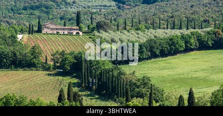 Vista dalle mura della piccola cittadina medievale, fortificata e caratteristica di Monteriggioni, nel sud della Toscana, in Italia. Foto Stock