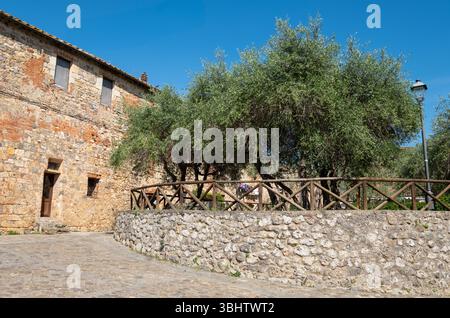 La piccola e caratteristica cittadina medievale di Monteriggioni, nel sud della Toscana, in Italia. Foto Stock