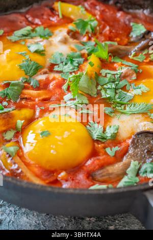 Uova sospese a base di pomodoro speziato con funghi, peperoni ed erbe fresche Foto Stock