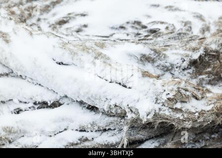 Corde di ormeggio attorcigliate ricoperte di neve, primo piano. Foto Stock
