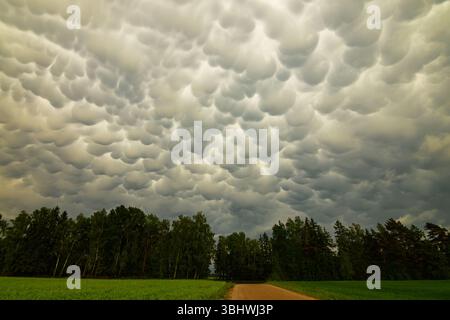 Grande nuvola di tempesta sui campi nuvole mammatus 20 Foto Stock