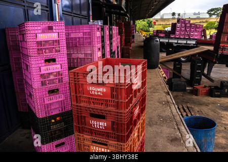 Marilia, San Paolo, Brasile, 24 aprile 2025. Centro di distribuzione alimentare CEAGESP, con particolare attenzione all'organizzazione e al trasporto di prodotti freschi Foto Stock