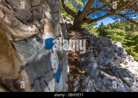 Spiaggia di Jablanova sull'isola DI KRK in Croazia, sentiero blu che conduce a una spiaggia di ciottoli vuota, natura selvaggia e lussureggiante vegetazione mediterranea, panorama Foto Stock