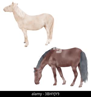 Un cavallo bruno al pascolo con una criniera scura e un cavallo beige. Illustrazione acquerello. Una serie di cavalli in piedi, isolati su uno sfondo bianco. L'argomento Foto Stock