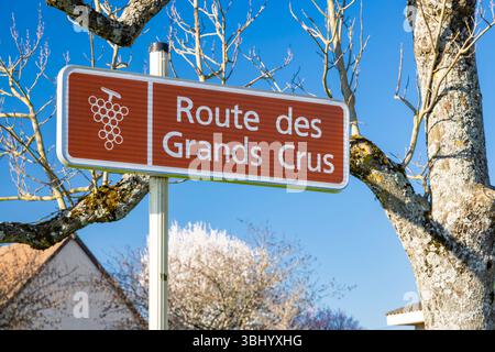 Cartello stradale marrone con simbolo dell'uva che indica la Route des grands crus a Puligny Montrachet, Borgogna, Francia, una famosa regione vinicola Foto Stock