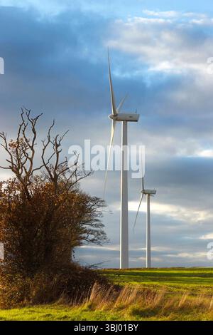 grandi turbine eoliche alte in un vasto paesaggio rurale del northumberland con un cielo nuvoloso nel regno unito Foto Stock