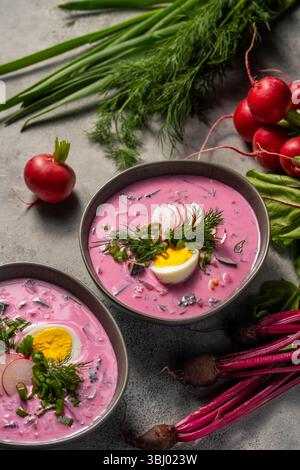 Deliziosa zuppa di barbabietole fredda guarnita con ravanelli a fette, uova sode e aneto fresco. Circondato da raggi e verdi crudi, offre un Foto Stock