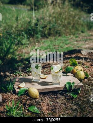 Due bicchieri di rinfrescante limonata con ghiaccio e fette di limone si siedono su una tavola di legno all'aperto. Circondato da limoni freschi e vegetazione, trasuda un vibr Foto Stock