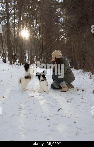 Una scena gioiosa di una donna che si impegna con i suoi due cani Papillon di razza pura in una foresta innevata, catturando un momento di connessione e allenamento in mezzo al seren Foto Stock