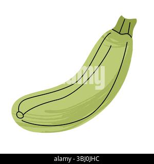 Zucchine o zucchine disegnate a mano, zucca verde estiva, illustrazione vettoriale piatta con consistenza, semplice clipart botanico, design vegetale biologico Illustrazione Vettoriale