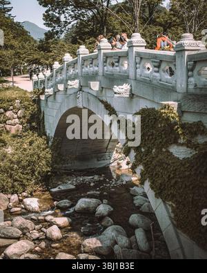 Antica pagoda in pietra annidata nella tranquilla foresta del Parco Nazionale di Seoraksan, Corea del Sud, incorniciata da pini e suggestive cime montuose nel bac Foto Stock