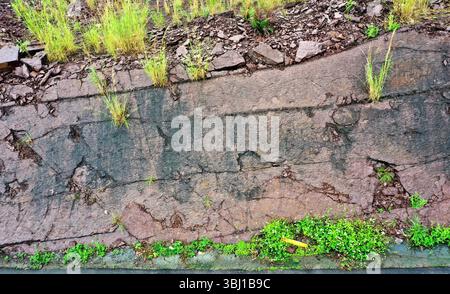 (250612) -- PECHINO, 12 giugno 2025 (Xinhua) -- questa foto scattata il 27 aprile 2025 mostra le impronte scoperte nella contea di Huaiji, città di Zhaoqing, nella provincia del Guangdong della Cina meridionale. Un team di ricerca della China University of Geosciences (Pechino) ha annunciato giovedì di aver registrato, per la prima volta, una combinazione di tracce di mammiferi e dinosauri negli strati del Cretaceo nella contea di Huaiji, città di Zhaoqing, nella provincia del Guangdong della Cina meridionale. Secondo il team di ricerca, la pista mammaliaforme appena scoperta misura solo 1,8 centimetri di lunghezza. PER ANDARE CON 'Cretaceous mammaliaform tr Foto Stock
