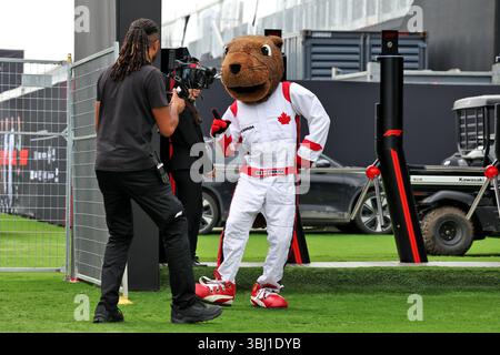 Montreal, Canada. 12 giugno 2025. Atmosfera da paddock. 12.06.2025. Formula 1 World Championship, Rd 10, Canadian Grand Prix, Montreal, Canada, giornata di preparazione. Crediti: James Moy/Alamy Live News Foto Stock