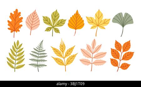 Serie di foglie autunnali di alberi diversi, querce, acero, castagno, frassino, betulla. Set di semplici foglie autunnali gialle, rosse e arancioni per motivi, striscioni, adesivi Illustrazione Vettoriale