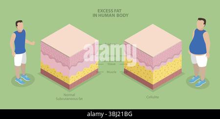 Illustrazione piatta isometrica 3D di eccesso di grasso corporeo umano, obesità Foto Stock