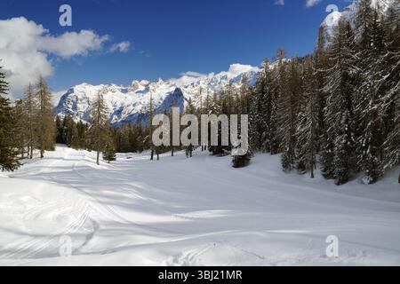 Pista di fondo, passo tre groci, Son Zuogo, Cortina d'Ampezzo, Dolomiti, provincia di Belluno, regione Veneto, Cortina d'Ampezzo, Veneto, Italia Foto Stock