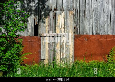 Un fienile intempestivo presenta una porta rustica in legno, parzialmente aperta, con vibrante erba verde e fiori selvatici nelle vicinanze sotto cieli azzurri. Foto Stock