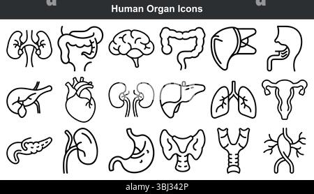 Set artistico Black Line Icons Human Organ Icons Illustrazione Vettoriale