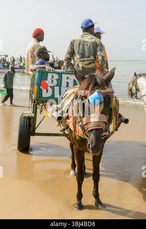 Carretto trainato da cavalli presso l'affollato mercato del pesce quotidiano sulla spiaggia di Mbour, Petite Cote, regione di Thies, Senegal, Africa occidentale Foto Stock