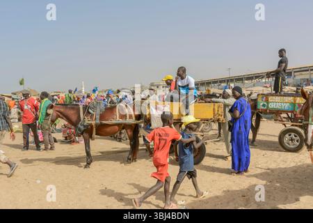Carretto trainato da cavalli presso l'affollato mercato del pesce quotidiano sulla spiaggia di Mbour, Petite Cote, regione di Thies, Senegal, Africa occidentale Foto Stock