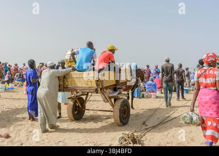 Carretto trainato da cavalli presso l'affollato mercato del pesce quotidiano sulla spiaggia di Mbour, Petite Cote, regione di Thies, Senegal, Africa occidentale Foto Stock