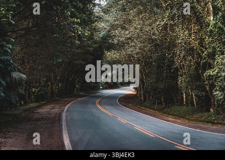 Strada curva attraverso la foresta atlantica di Ubatuba, Brasile Foto Stock