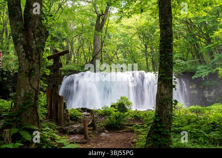 La cascata Choshi Otaki, la cascata più potente del torrente Oirase, crea uno spettacolo dinamico e nebbioso nella Gola di Oirase, un punto di riferimento importante Foto Stock